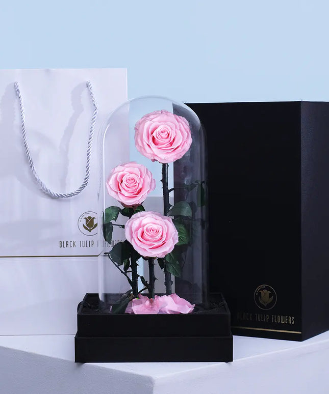 Preserved 3 Stem pink Rose Glass Dome. ( Large ) D17 X H32cm.