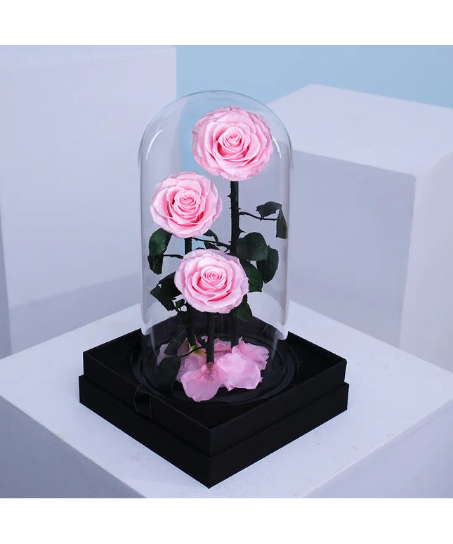 Preserved 3 Stem pink Rose Glass Dome. ( Large ) D17 X H32cm.