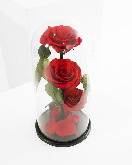 Preserved 3 Stem Red Rose Glass Dome