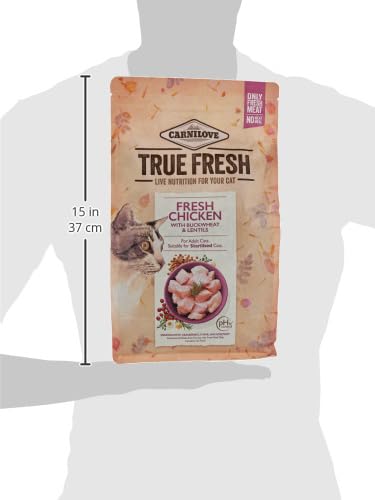 Carnilove True Fresh chicken cat food bag held, showing size scale