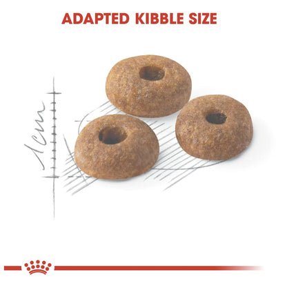 Royal Canin Feline Health Nutrition Fit 32 Dry Cat Food 2Kg
