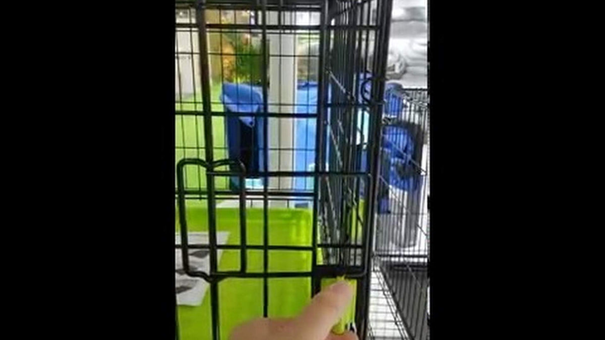 M-Pets Voyager wire cage displayed in store