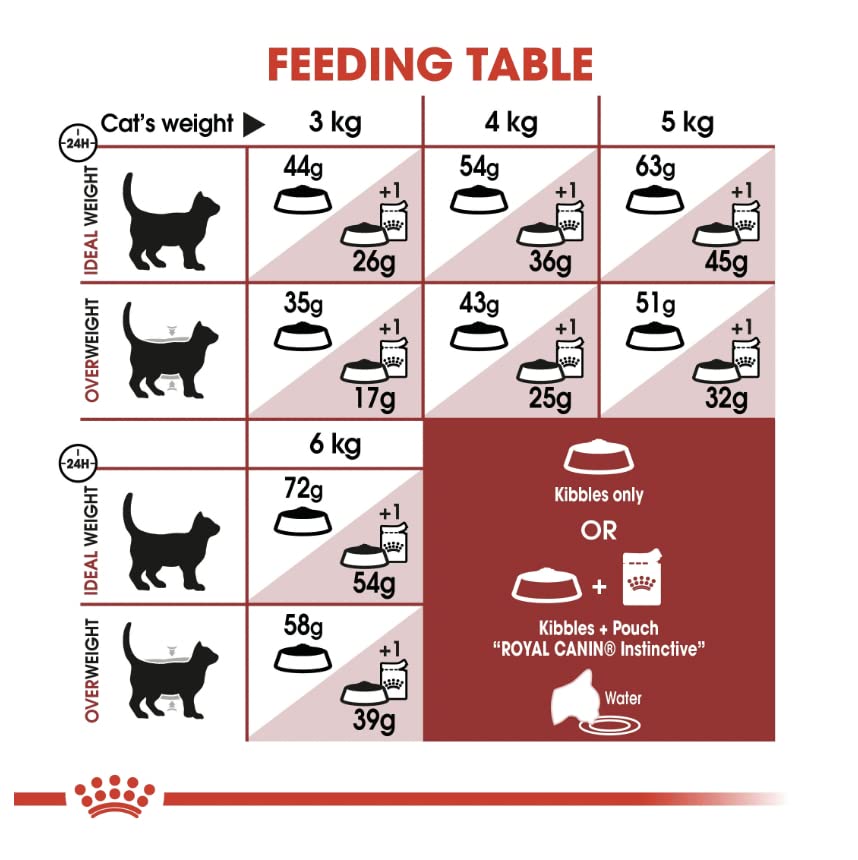 Royal Canin Feline Health Nutrition Fit 32 Dry Cat Food 2Kg