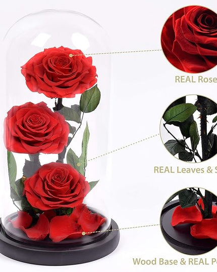 Preserved 3 Stem Red Rose Glass Dome