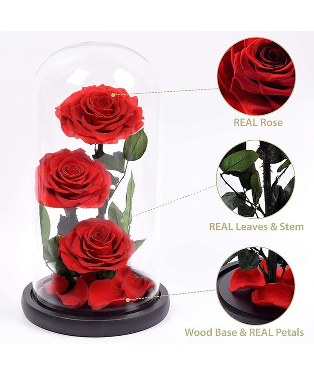 Preserved 3 Stem Red Rose Glass Dome