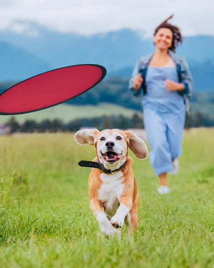 Mototo 30 Pieces Foldable Flying Disc Fans with Bag Folding Pocket Toy Set for Kids Fun Birthday Party Favors Summer Outdoor Activity Game Halloween Christmas, 5 Colors (10 inches)