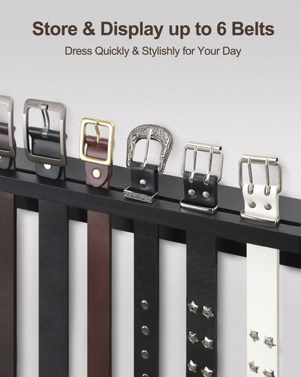 UGZOO Tie Rack and Belt Organizer for Closet, 2-in-1 Belt Hanger and Tie Organizer (Black)