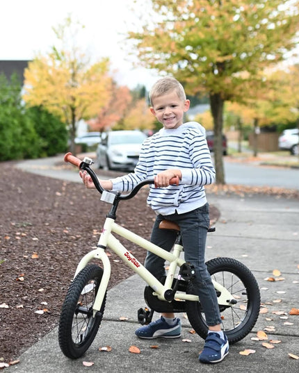 JOYSTAR Kids Bike for Ages 2-12 Years Old Boys Girls