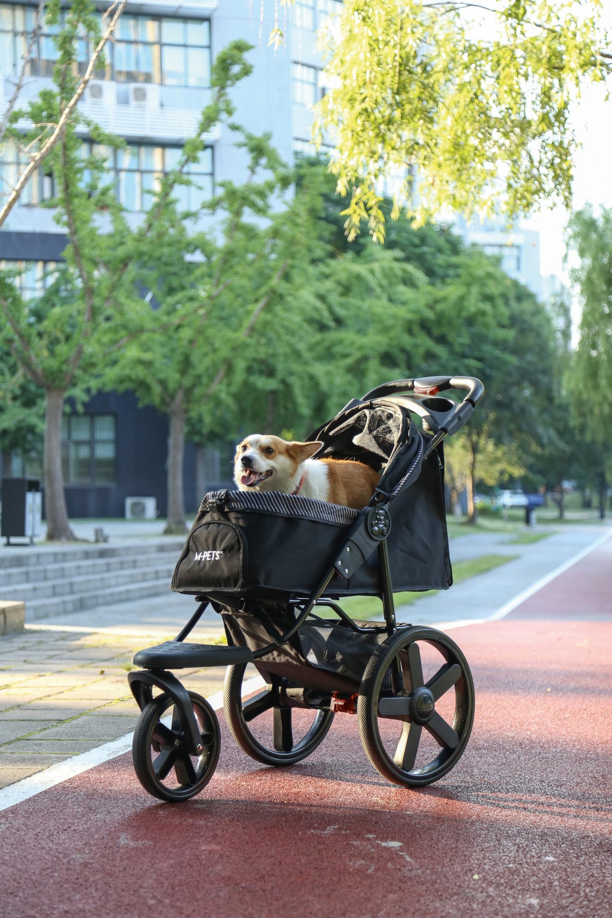 Pets riding in M-Pets Aventura stroller on outdoor path