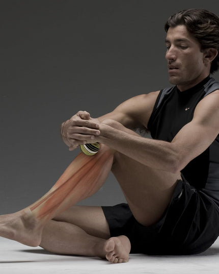 Trigger Point Performance Ultimate 6 Total Body Self Myofascial Release and Deep Tissue Massage Kit with User Guidebook and DVD