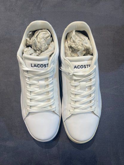 Lacoste Carnaby Pro white leather sneakers, top view pair