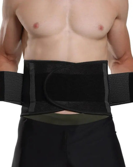 back support belt / M
