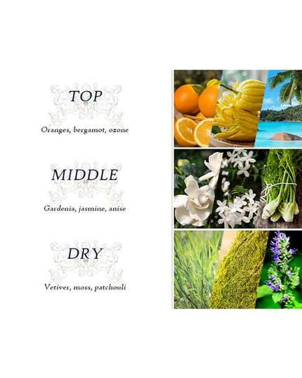 Body Luxuries Night Dating Body 200ml Body Cream + 250ml Fragrance + 350ml Shower Gel