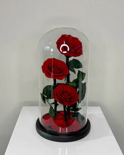 Preserved 3 Stem Red Rose Glass Dome
