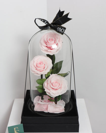 Preserved 3 Stem pink Rose Glass Dome. ( Medium ) D14 X H23cm.