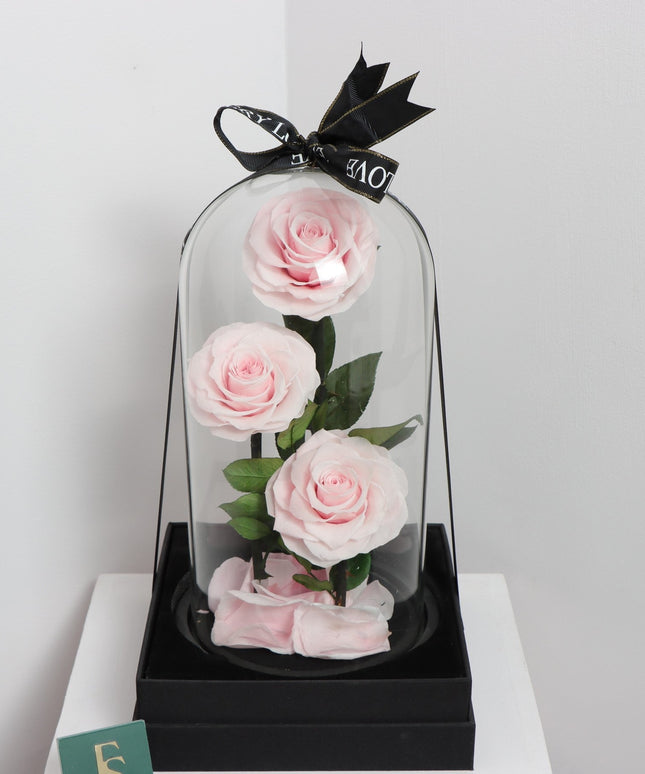 Preserved 3 Stem pink Rose Glass Dome. ( Medium ) D14 X H23cm.