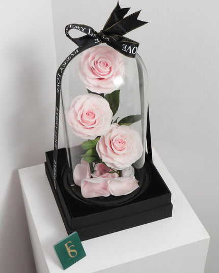 Preserved 3 Stem pink Rose Glass Dome. ( Medium ) D14 X H23cm.