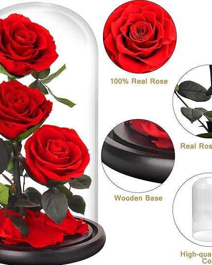 Preserved 3 Stem Rose Rosy Glass Dome. ( Large ) D17 X H32cm.