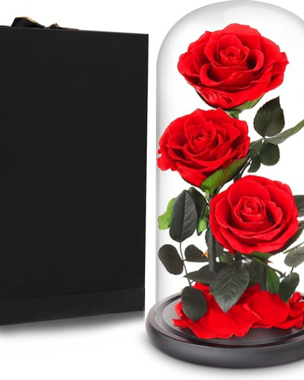 Preserved 3 Stem Rose Rosy Glass Dome. ( Large ) D17 X H32cm.