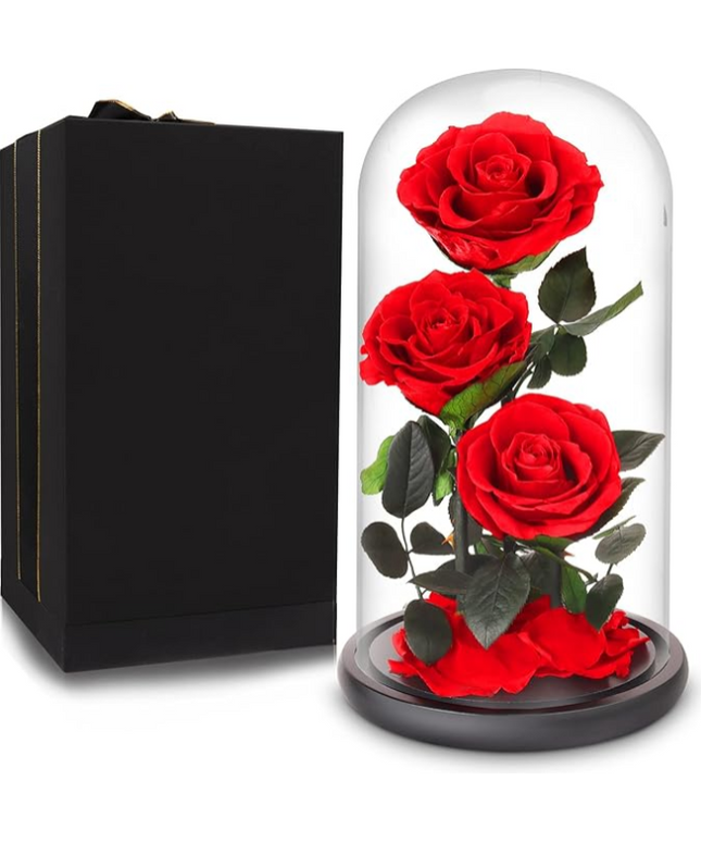 Preserved 3 Stem Rose Rosy Glass Dome. ( Large ) D17 X H32cm.