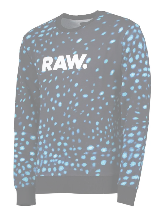 G-Star Meil Ws Stalt Dc R Sweatshirt