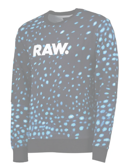 G-Star Meil Ws Stalt Dc R Sweatshirt