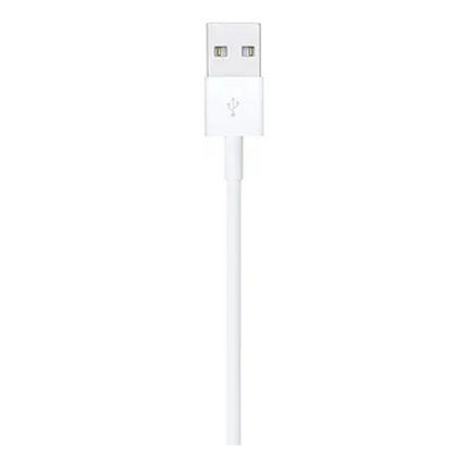 Apple Lightning to USB Cable (2 m): Fast Charging and Data Transfer
