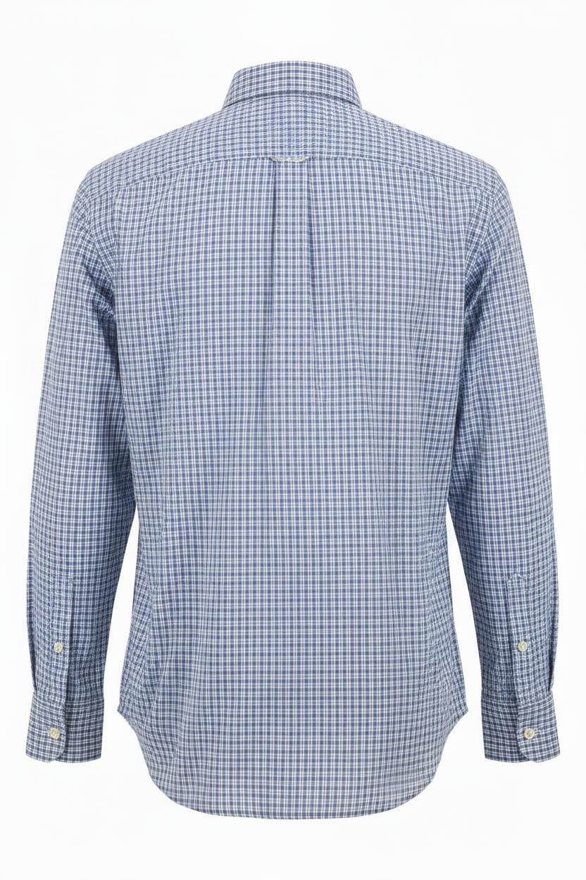 Back view - Blue plaid shirt