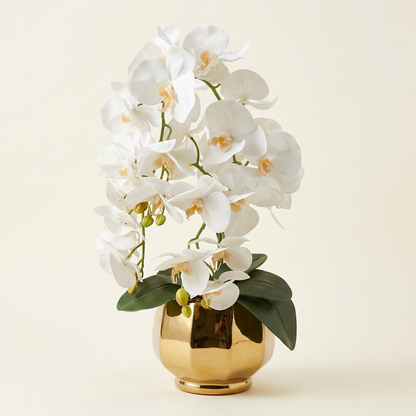 Royal White Orchid Floral Arrangement for Home Decor