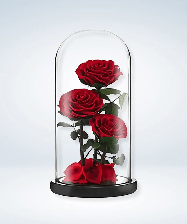 Preserved 3 Stem Red Rose Glass Dome