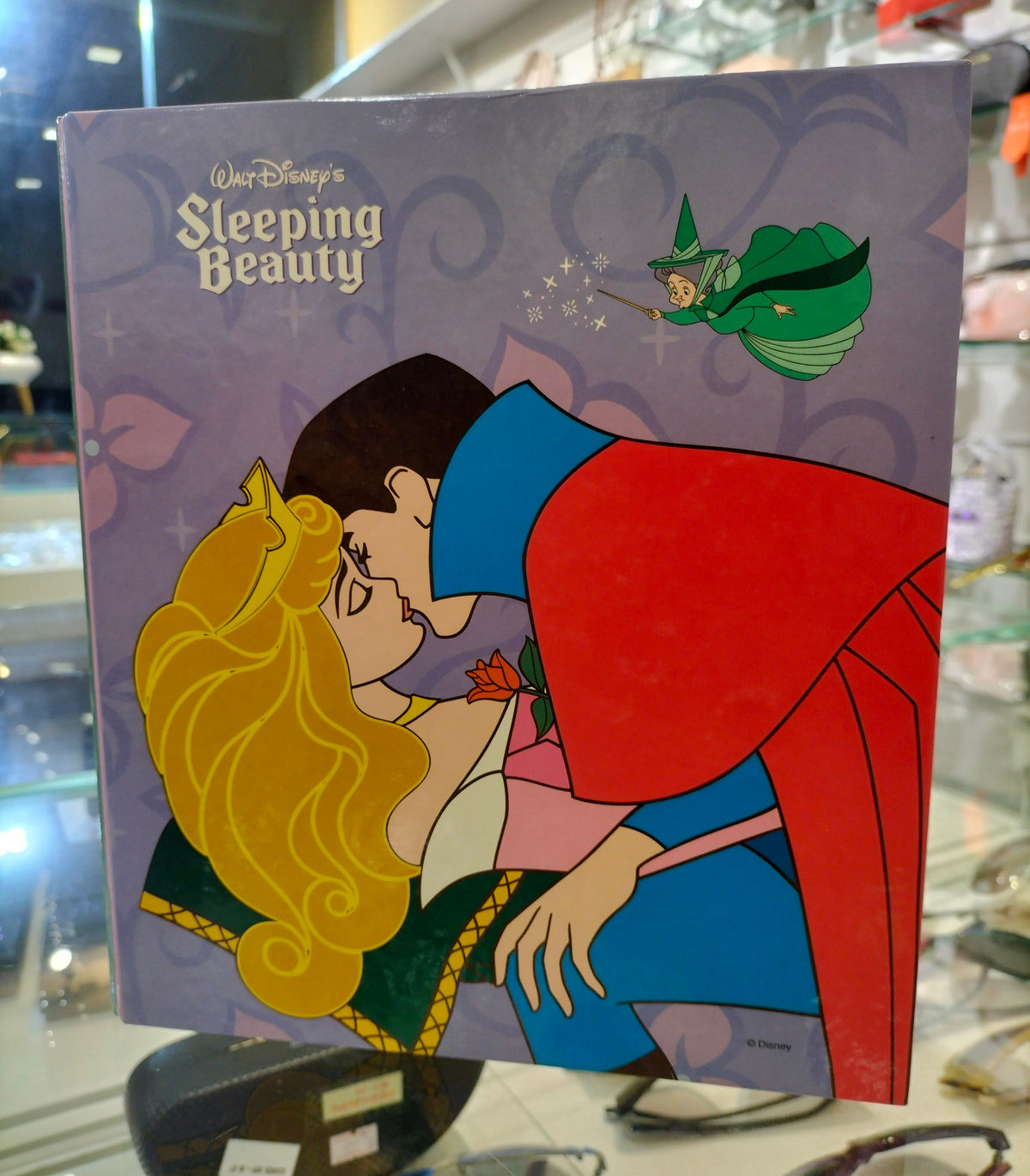 Ambar Disney'S Sleeping Beauty Binder