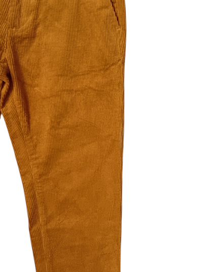 FOREVER 21 Mens Brown Corduroy Pants