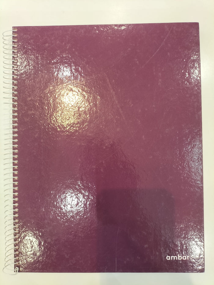 Clearance of Ambar Stationery – Violet Notebook