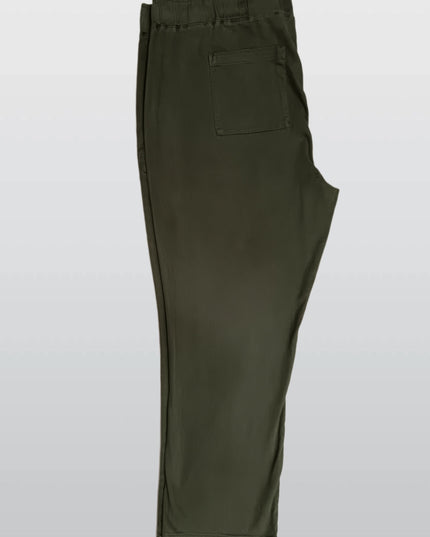 BUFFALO DAVID BITTON OLIVE PANTS
